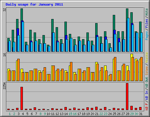 Daily usage for January 2011