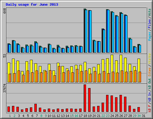 Daily usage for June 2013