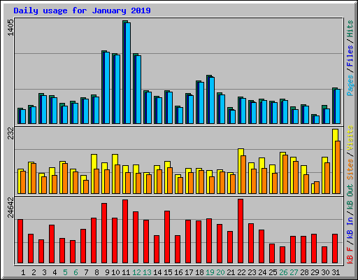 Daily usage for January 2019