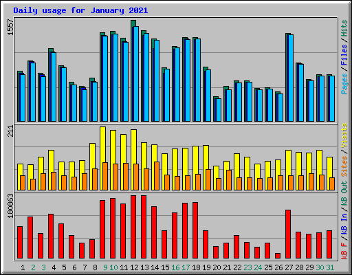 Daily usage for January 2021