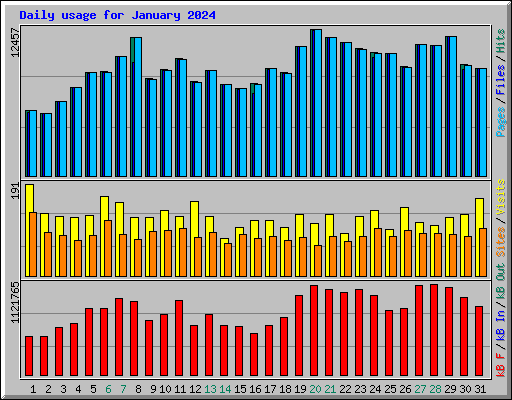 Daily usage for January 2024
