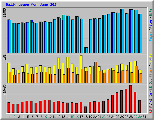 Daily usage for June 2024