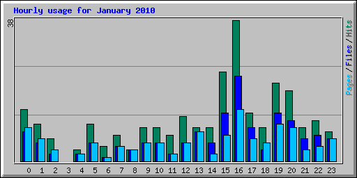 Hourly usage for January 2010