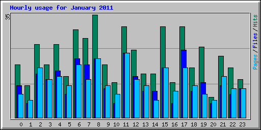 Hourly usage for January 2011