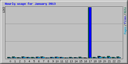 Hourly usage for January 2013