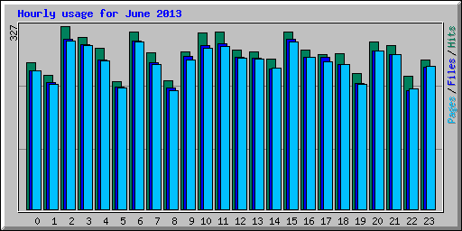 Hourly usage for June 2013