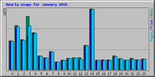 Hourly usage for January 2016