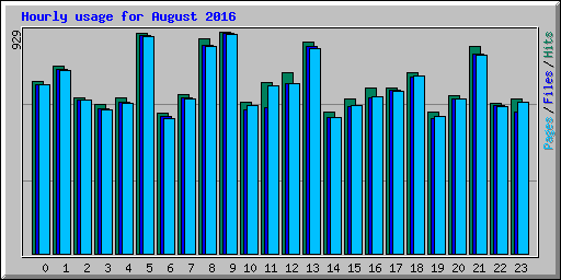 Hourly usage for August 2016