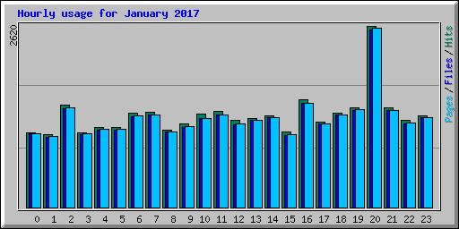 Hourly usage for January 2017