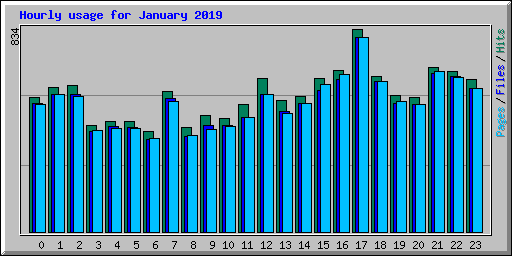 Hourly usage for January 2019