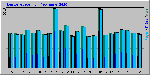 Hourly usage for February 2020