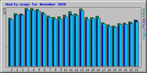 Hourly usage for November 2020