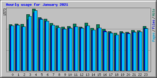 Hourly usage for January 2021