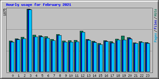 Hourly usage for February 2021