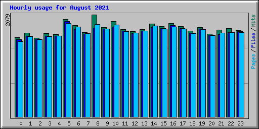 Hourly usage for August 2021