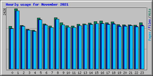 Hourly usage for November 2021