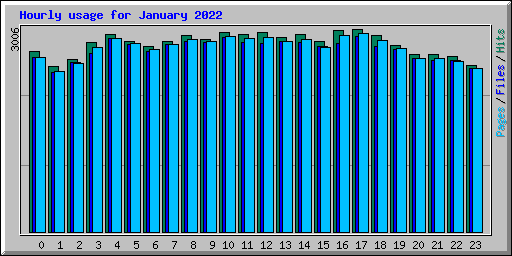 Hourly usage for January 2022