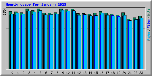 Hourly usage for January 2023