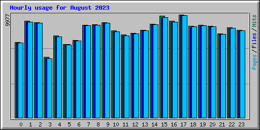 Hourly usage for August 2023