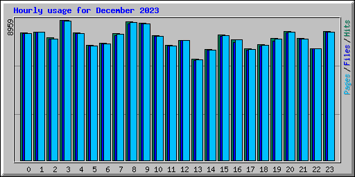 Hourly usage for December 2023