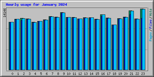 Hourly usage for January 2024
