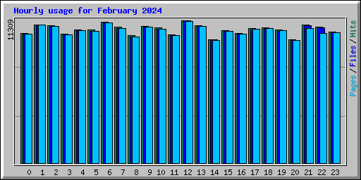 Hourly usage for February 2024