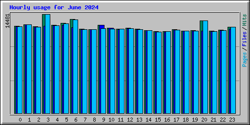 Hourly usage for June 2024