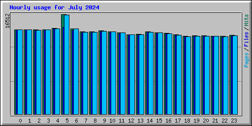 Hourly usage for July 2024