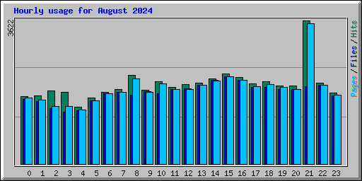 Hourly usage for August 2024